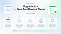 Theme Switch & Content Transfer